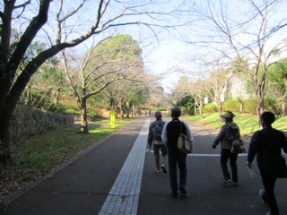 春の道