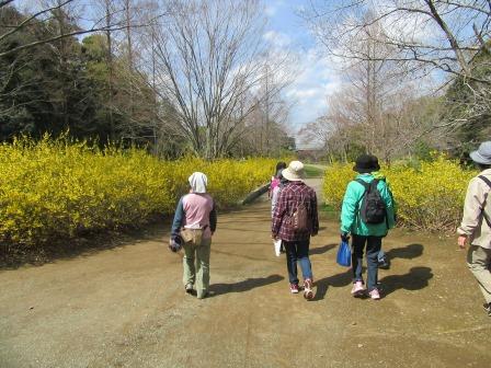 泉谷公園2
