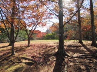 泉谷公園２