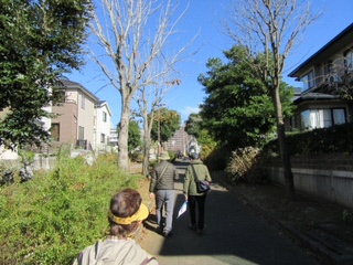 中の道