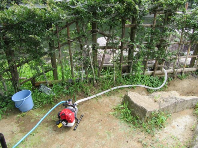 給水ポンプ