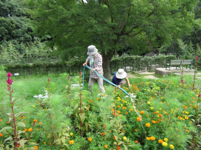 給水作業（せせらぎの会）