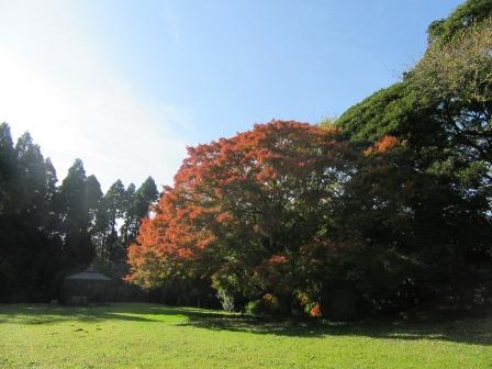土気城址2