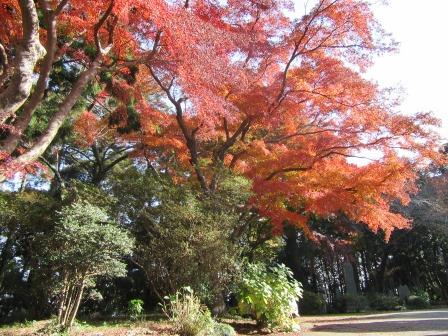 善勝寺3