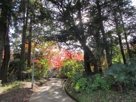 善勝寺4