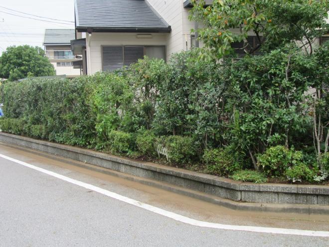 みずき・かつら街おたすけ隊03