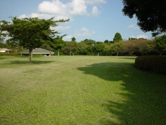 昭和の森公園