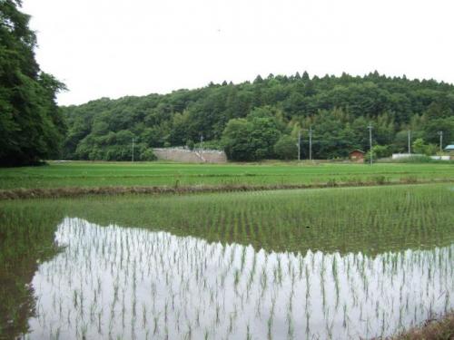 緑区平山町の谷津田