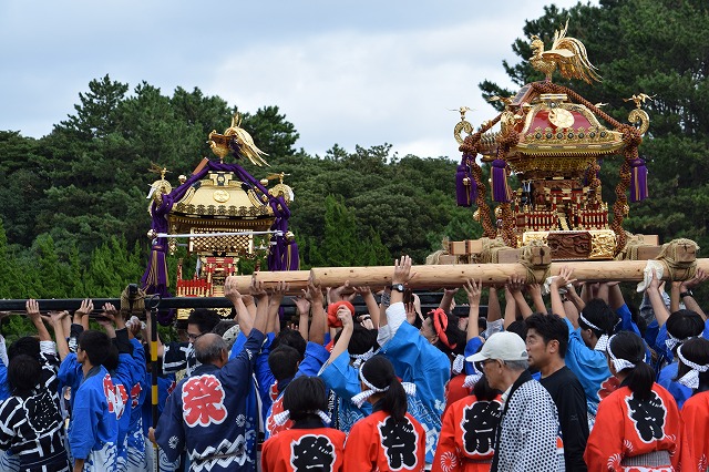 2019mikosi