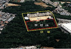 学校林上空