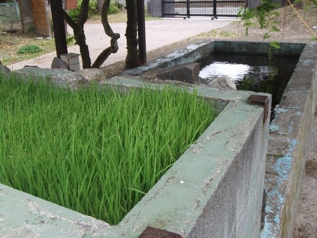5年生3