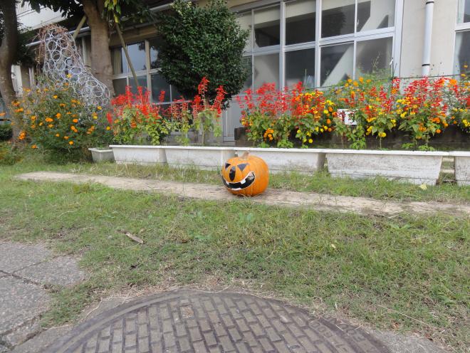 巨大カボチャ