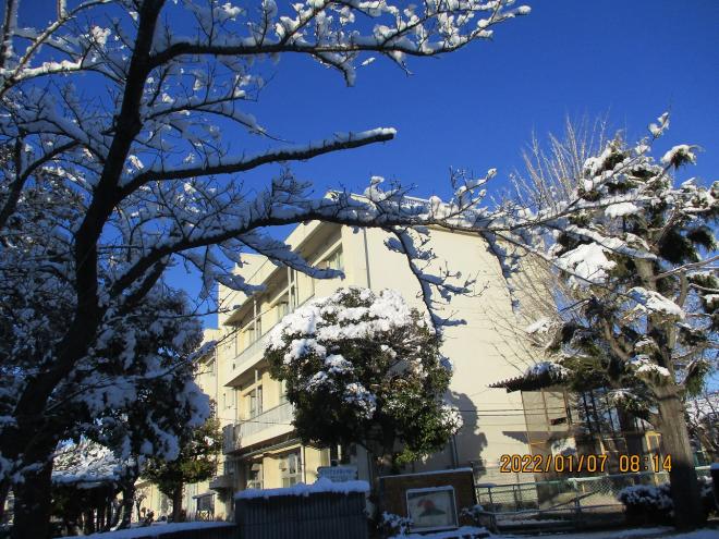 1月7日3