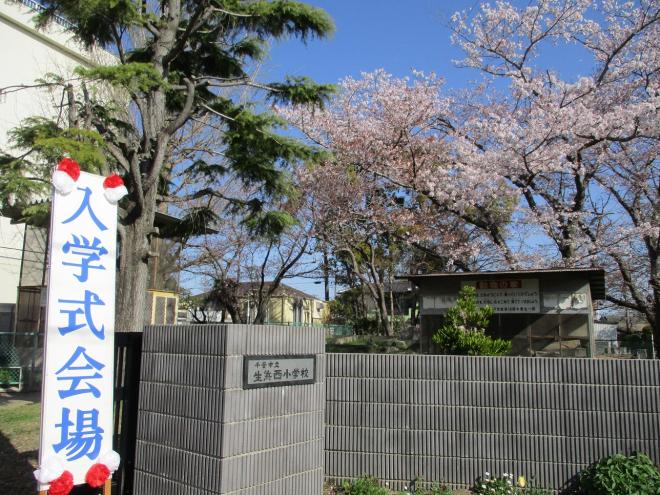 入学式1