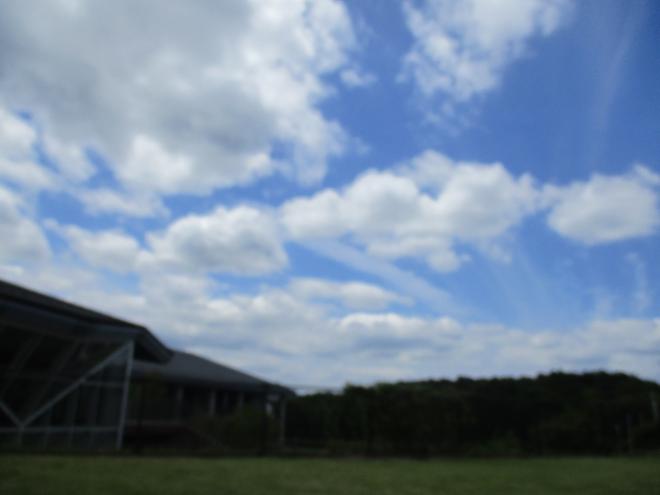 農山村留学2
