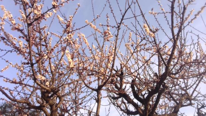 3月9日1