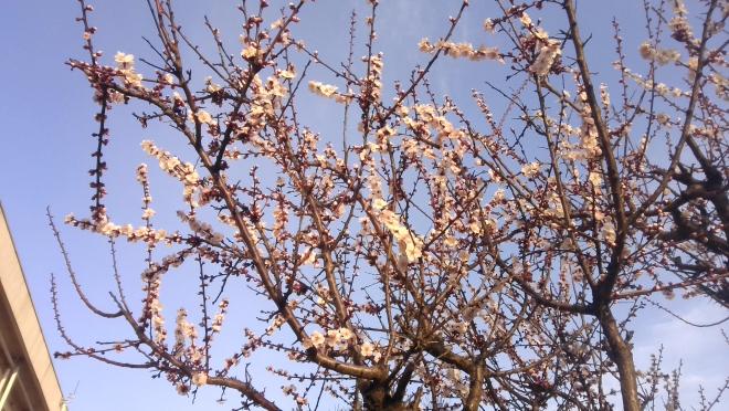 3月9日2