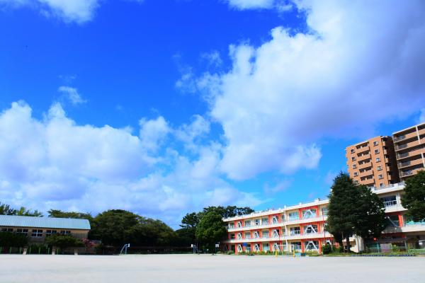 草野