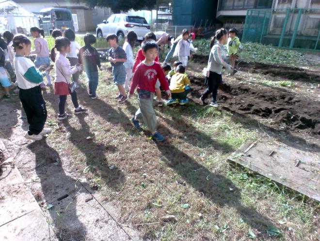 imohori1
