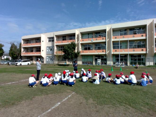 jef1