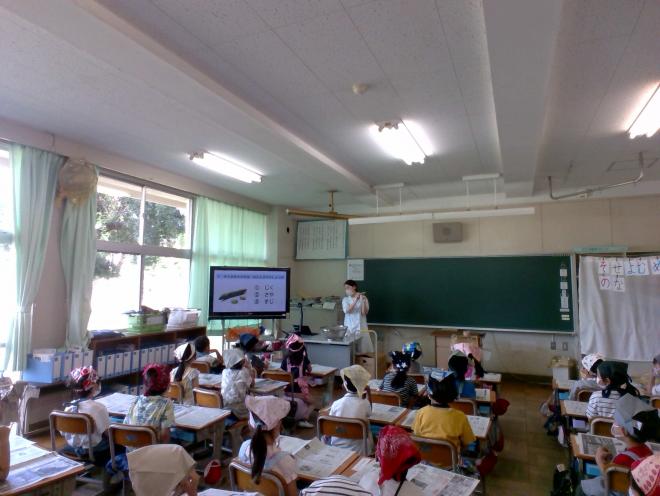 saya-1