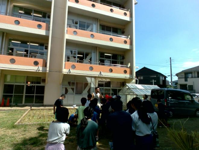 shuukaku4