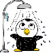 プールペンギン