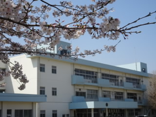 kousyasakura