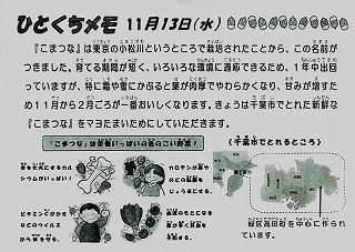 1113komatsuna2