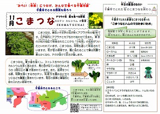 1113komatsuna3