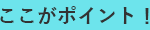 ここがポイント!