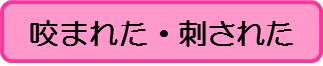 咬まれた（こども）