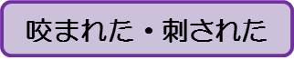 咬まれた（大人）