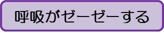 ゼーゼー（大人）