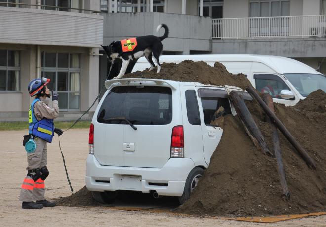 39九都【土砂災害埋没車両（救助犬）】