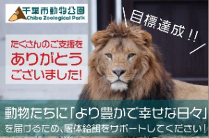 image01_03.png