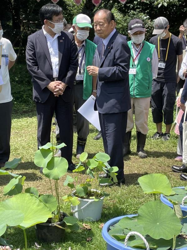 観蓮会