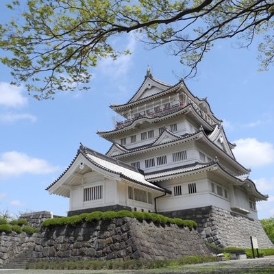 千葉市郷土博物館エックスアカウントのアイコン画像