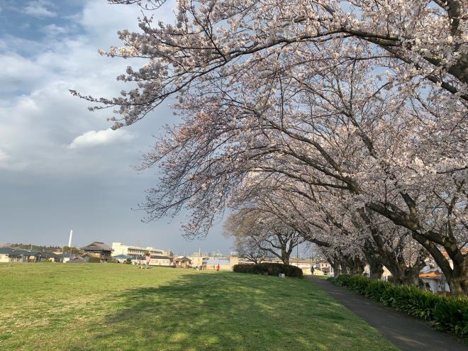犢橋貝塚公園