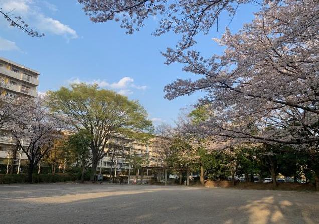 にれの木台公園