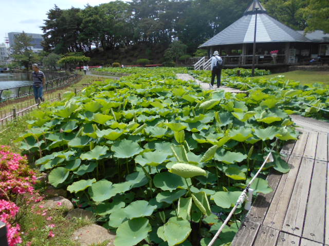 DSCN0415.JPG
