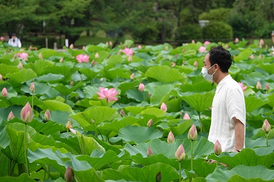 amatasu2