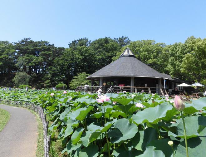 7月7日その1