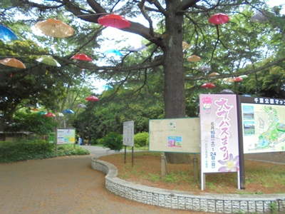 H300611(1)