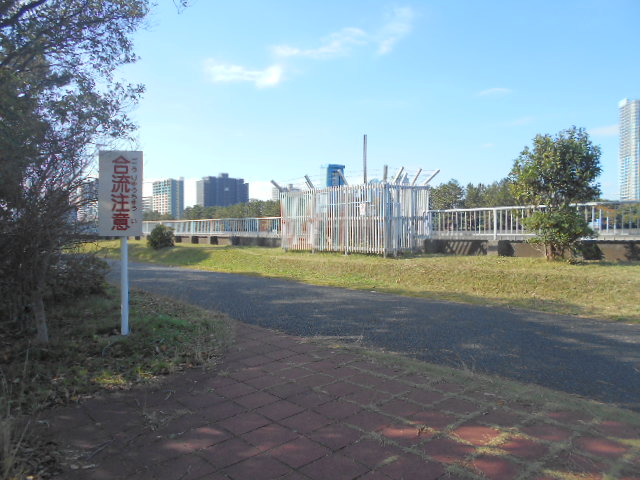 合流注意