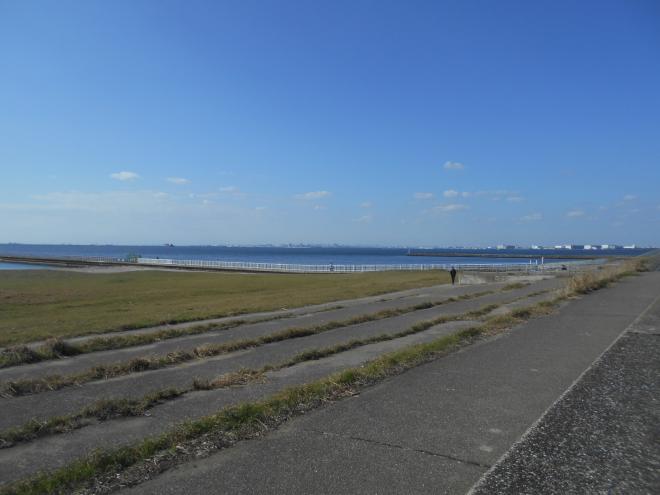 海