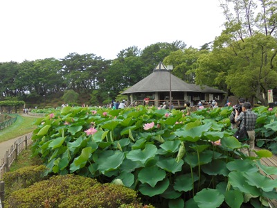 H280620池