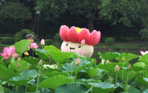 ちはなちゃん
