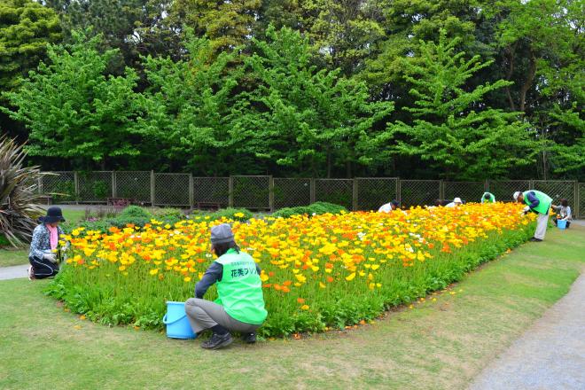 花美フレンズ園芸