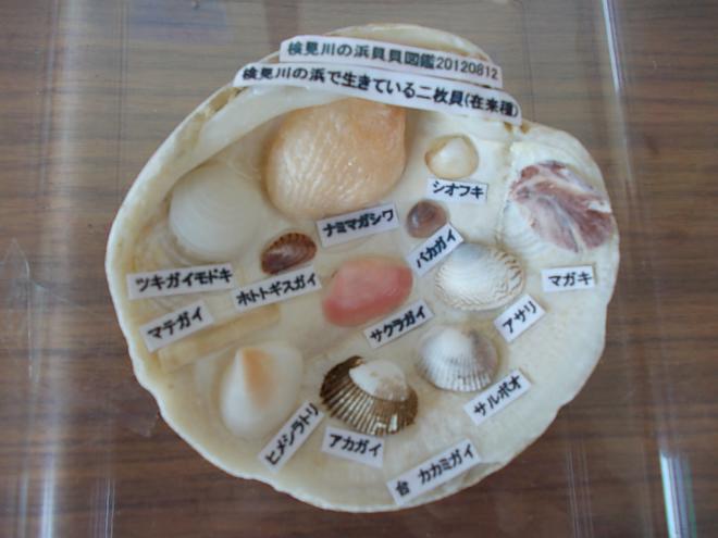 貝生存在来種